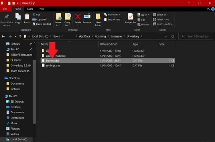 Driver Easy 12